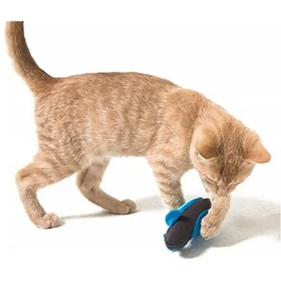 NoBowl Interactive Indoor Hunting Cat Feeder Complete Training System image {3}