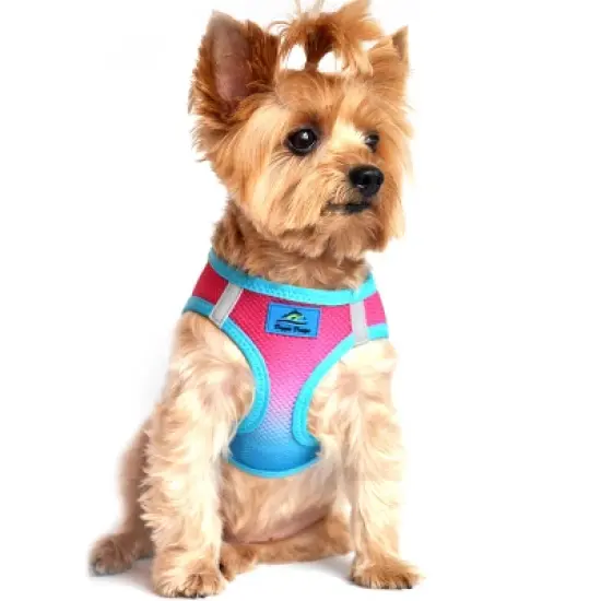 Doggie Design American River Choke Free Dog Harness Ombre Collection-Sugar Plum image {3}