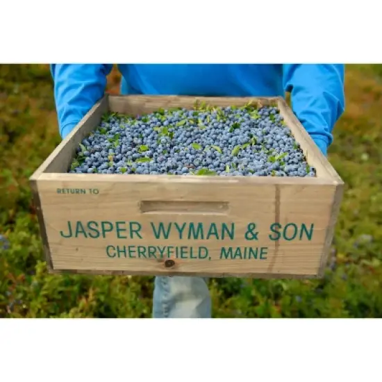 Wyman's Fresh Frozen Wild Blueberries - 3lb image {5}