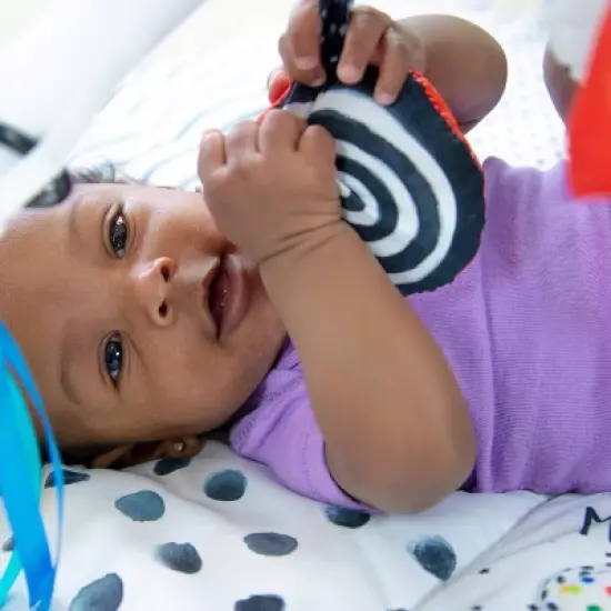 Sassy Toys Look & Learn Gift Set - 4pc image {3}