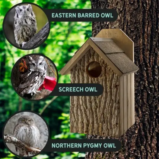 Uncle Dunkels Premium Screech Owl House; Rustic Handmade Owl Nesting Box image {6}