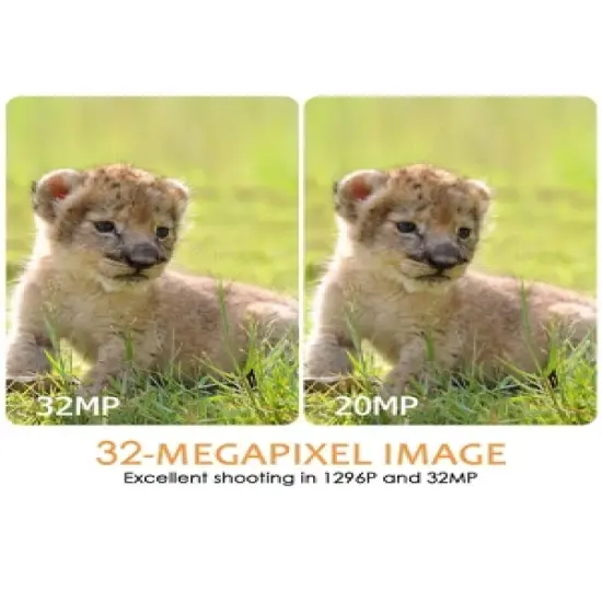 BlazeVideo 32MP 1296P Bluetooth Waterproof WiFi Trail Photo/Video Camera, Night Vision, Time Lapse, Motion Activated for Hunting, Home Security image {3}