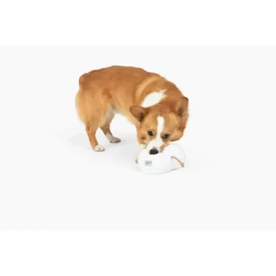 Midlee Marshmallow Snowman Dog Toy- Winter Plush Tug Tug image {1}