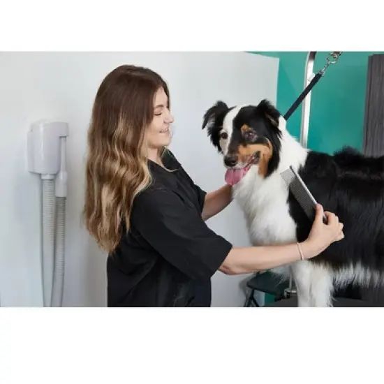 Groomer Essentials Large Quarter Comb image {2}