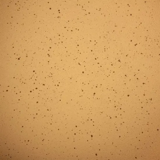 Hamilton Beach HBV111 11 Inch Forged Aluminum Terracotta Nonstick Coated Griddle Frying Pan Skillet with Bakelite Handle, Copper image {4}