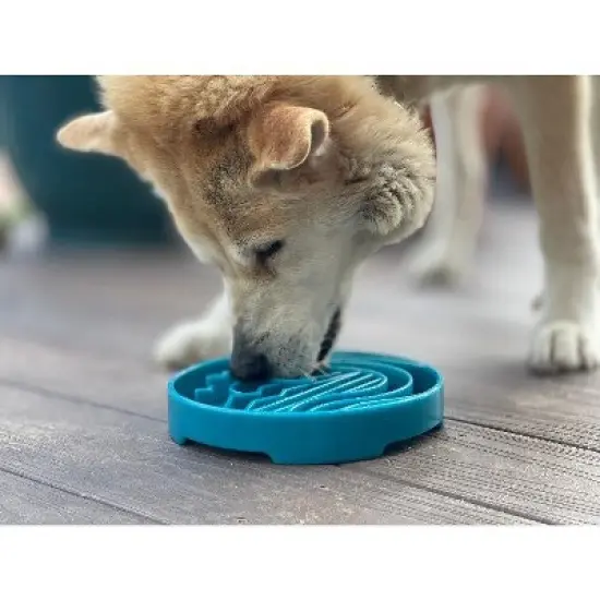Baja Design eTray Enrichment Shallow Slow Feeder Dog Bowl image {1}