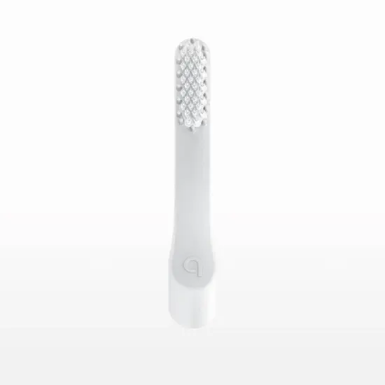 quip Rechargeable Sonic Electric Toothbrush - Plastic | Timer + Travel Case/Mount image {7}
