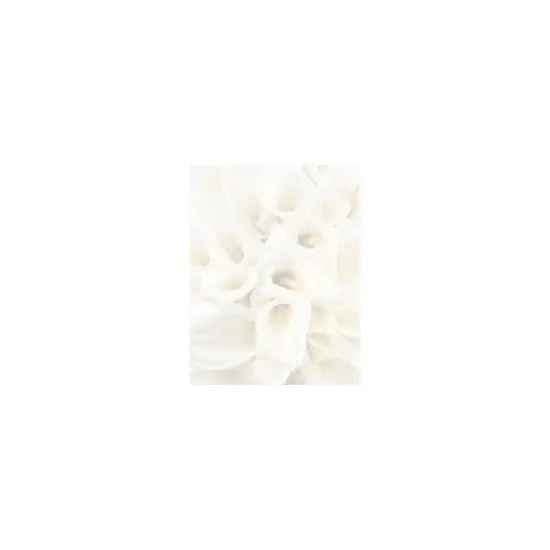 Great Papers White Calla Lilies Letterhead 80 count 2014286 image {1}