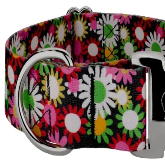 Country Brook Petz 1 1/2 Inch Premium Daisy Fields Dog Collar image {3}