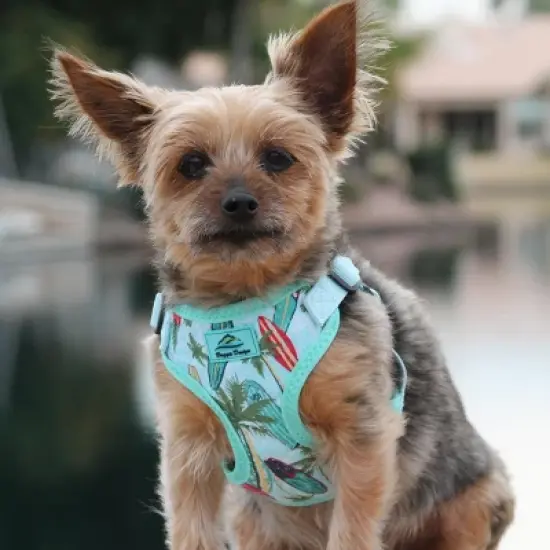 Doggie Design Wrap and Snap Choke Free Dog Harness-Surfboards and Palms image {5}