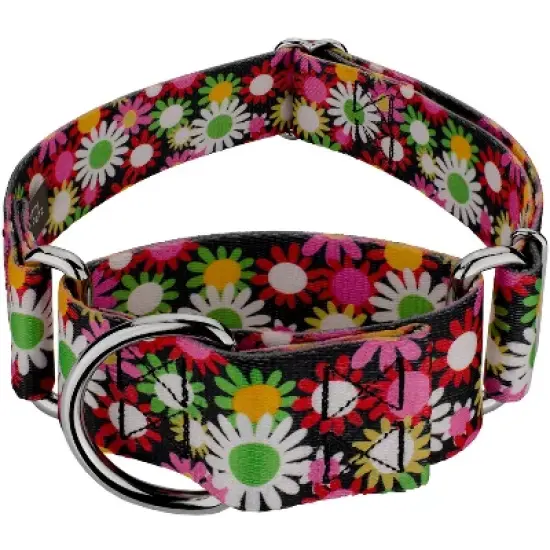 Country Brook Petz HossFit Jr Wide Martingale Dog Collar - Floral Collection image {9}