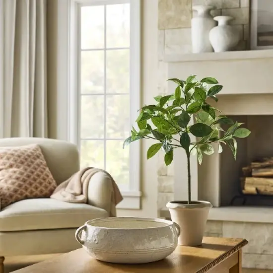 Green Leaf Mini Artificial Tree - Threshold&trade; designed with Studio McGee image {1}