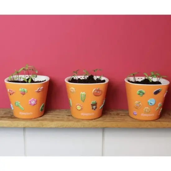 Window Garden Self Watering Planters with Sow Much Fun Seed Starting, 3 Growing kits, Broccoli image {2}