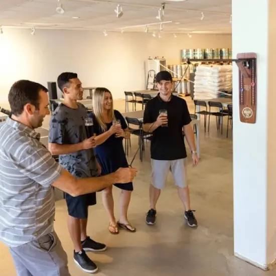 GoSports Hook 21 Wall Mount Ring Swing Game - Brown image {1}