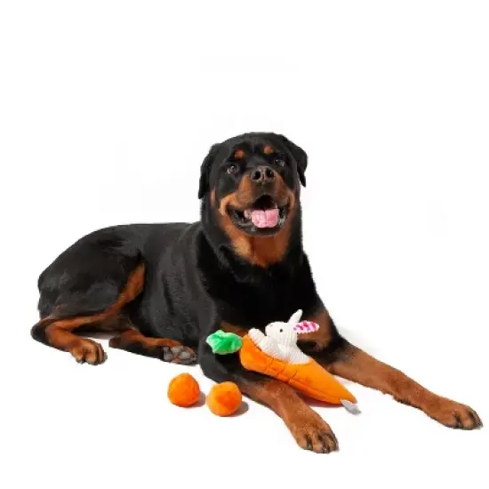 Midlee Hide a Toy Carrot Easter Dog Toy image {5}