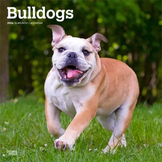 BrownTrout Bulldogs 2026 12"x24" Hanging Square Wall Calendar Plastic-Free image {9}
