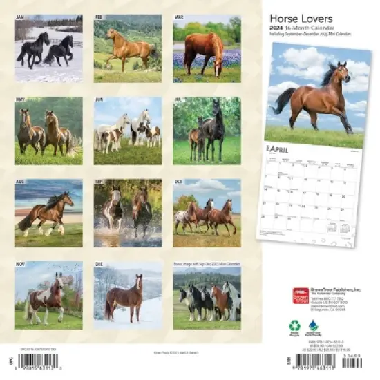 Browntrout 2024 Wall Calendar 12"x12" Horse Lovers image {1}