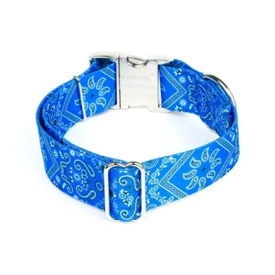 Country Brook Petz HossFit Jr Wide Premium Dog Collar - Country and Western Collection image {2}