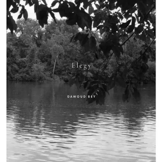 Dawoud Bey: Elegy - by  Valerie Cassel Oliver (Hardcover) image {1}