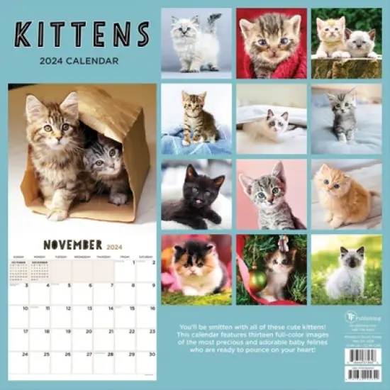 TF Publishing 2024 Wall Calendar 12"x12" Kittens image {4}