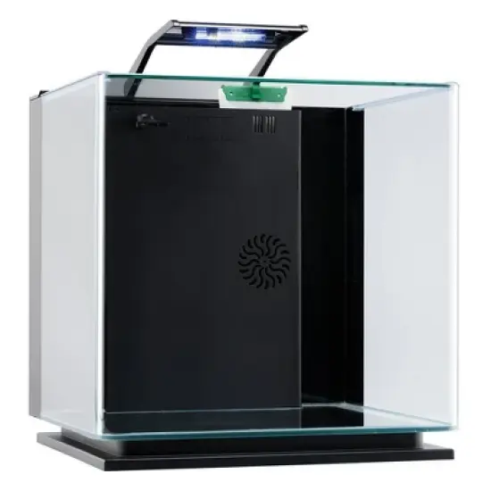 GloFish Glass Aquarium Kit 10gal Includes LED Decor and Filter Aquarium and Terrarium Tools image {9}