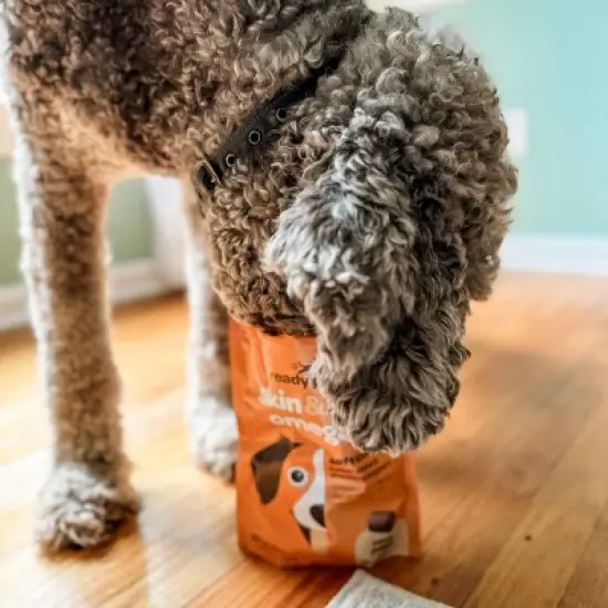 Ready Pet Go Skin & Coat Omega-3 Health Chews, Omega-3 Fish Oil for Dogs Skin & Coat and Heart & Joint Support, Fish & Cheese Flavor, 60 or 90ct image {5}