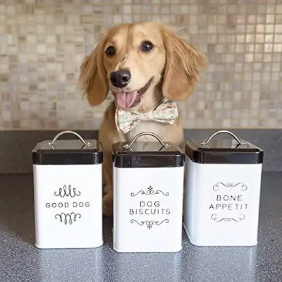 Amici Pet Treat Storage, Sparky Bone Appetit, Dog Biscuits, & Good Dog Metal Storage Canister, White & Black Push Top Lid, Set of 3,36 oz. image {2}