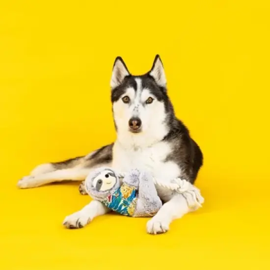 PetShop by Fringe Studio Slown' Down For Summer Sloth Dog Toy image {3}