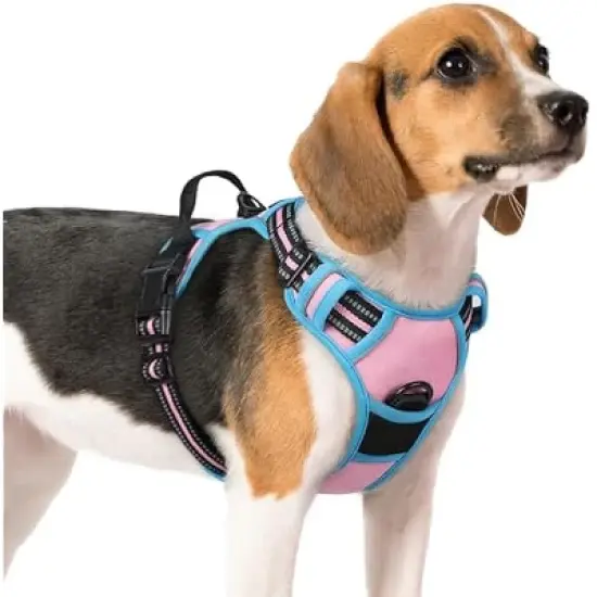 rabbitgoo Dog Harness No Pull with 2 Leash Clips, Control Handle for Medium Sized Dogs, Pink & Blue, M image {1}