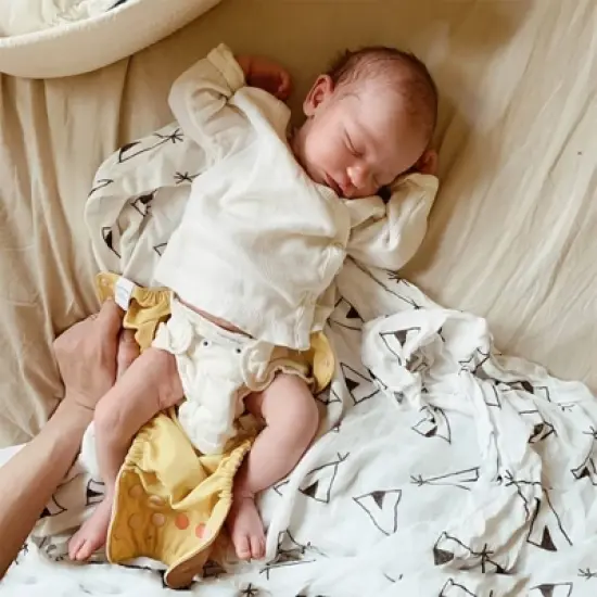 Esembly Inner Organic Cotton Reusable Infant Diaper - Size 2 - 3ct image {2}