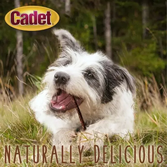 Cadet 5 Inch Rawhide Munchy Basted Chicken Sticks (100 Pack) image {1}
