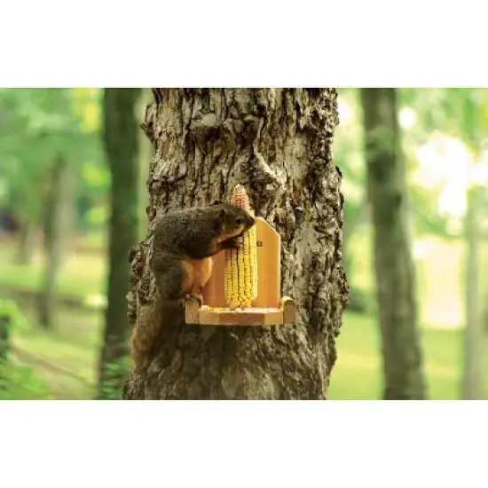Woodlink Audubon Natural Squirrel Platform Feeder (5.75" X 6.75" X 6.5") image {2}