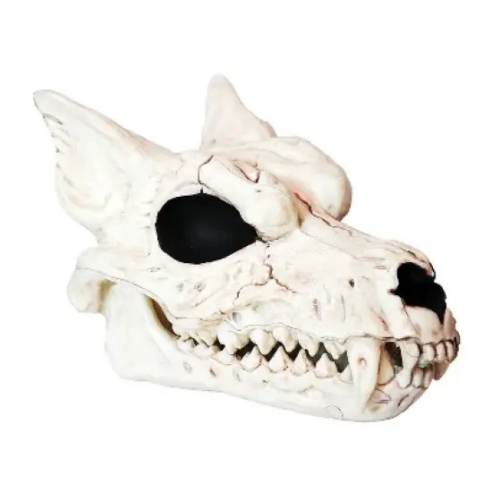 Werewolf Skull Halloween Decoration image {1}