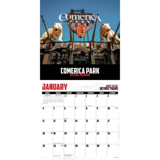 Willow Creek Press 2026 Play Ball Wall Calendar image {2}