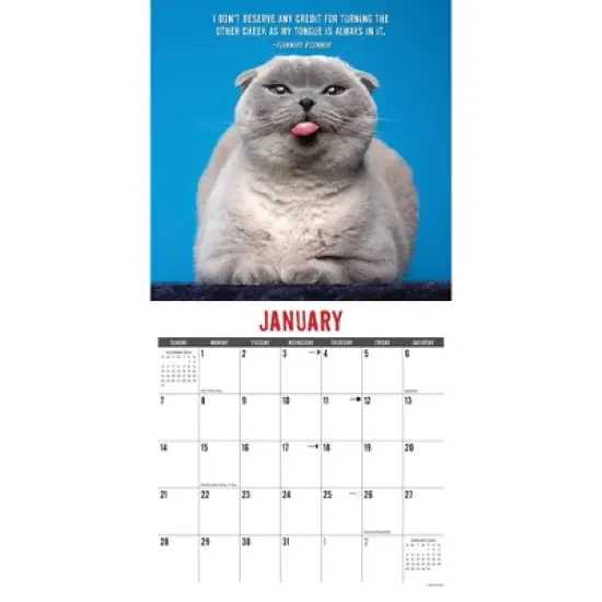 Willow Creek Press 2024 Wall Calendar 12"x12" Bad Kitties image {2}