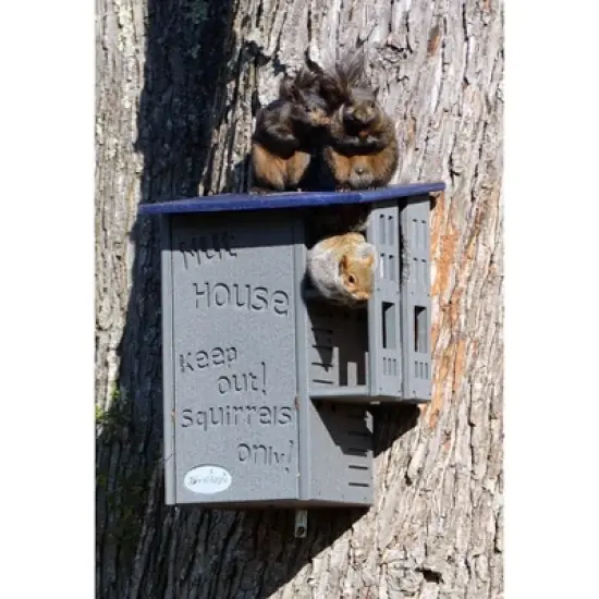 JCS Wildlife Ultimate Squirrel House Nesting Box image {5}