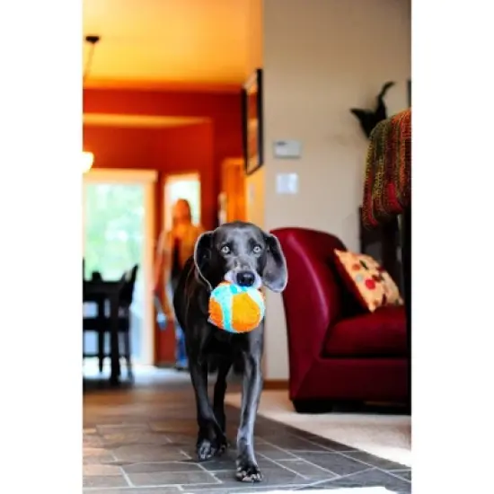 Chuckit! Indoor Ball Dog Toy image {5}