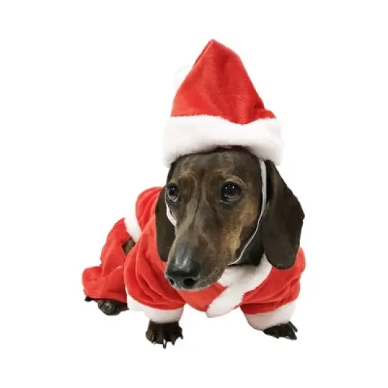 Midlee Dog Santa Claus Costume image {5}