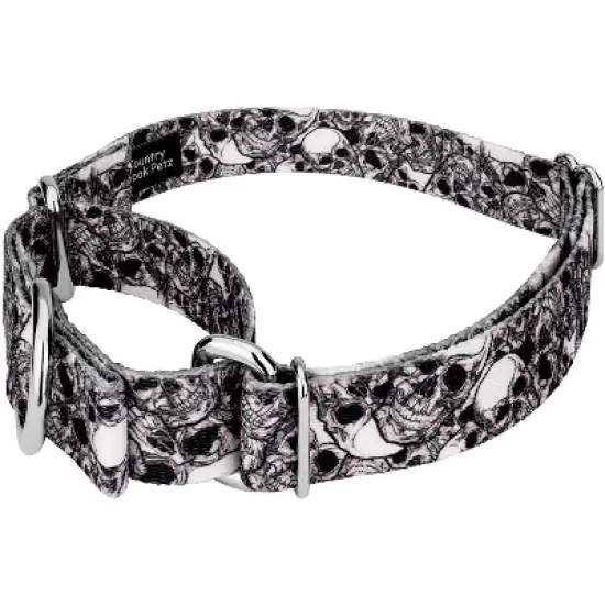 Country Brook Petz Phantom Skulls Martingale Dog Collar (1 Inch, Medium) image {1}