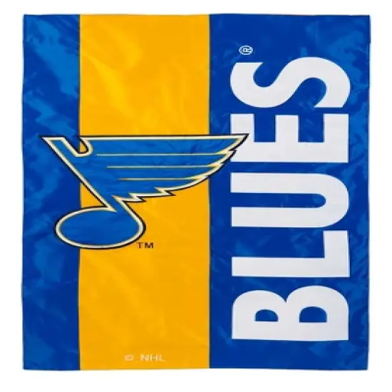 Evergreen NHL St Louis Blues Embroidered Logo Applique Garden Flag, 12.5 x 18 inches Indoor Outdoor Double Sided Decor for Hockey Fans image {1}