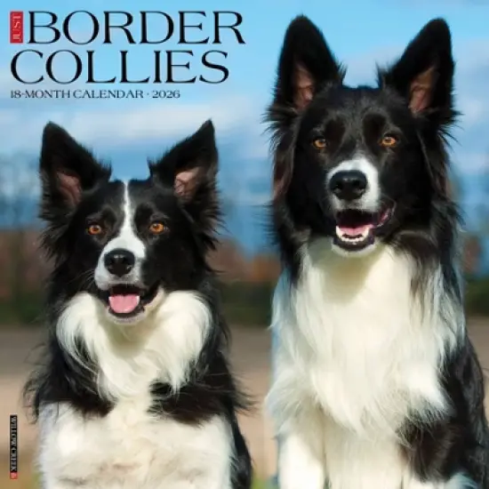 Willow Creek Press 2026 Border Collies Wall Calendar image {5}