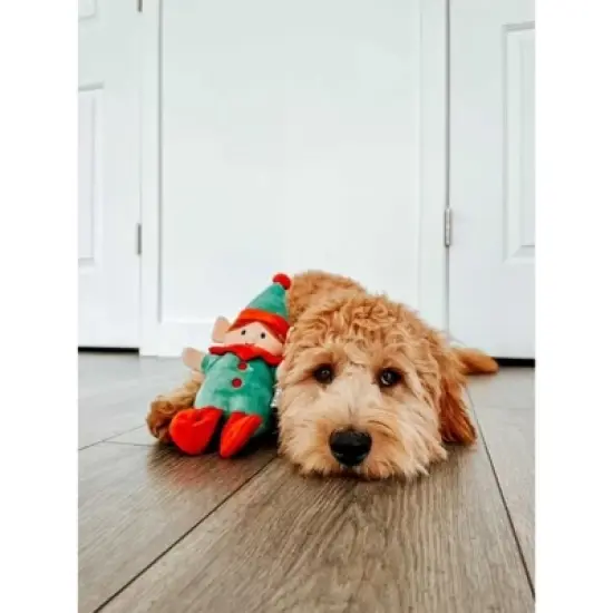 Midlee Christmas Elf Plush Dog Toy image {4}
