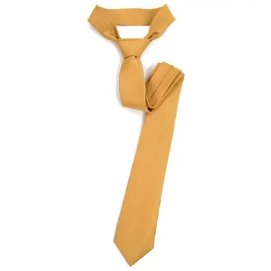 Men's Solid Color 2.5 Inch Wide And 57 Inch Long Slim Neckties image {1}