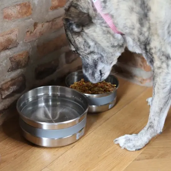 BUILT 64 Oz Elevated Dog Food Bowl, Anti-Slip Base, Soft Carry Ring, Double-Wall 18/8 Stainless Steel, BPA-Free, Dishwasher Safe (Gray) image {4}