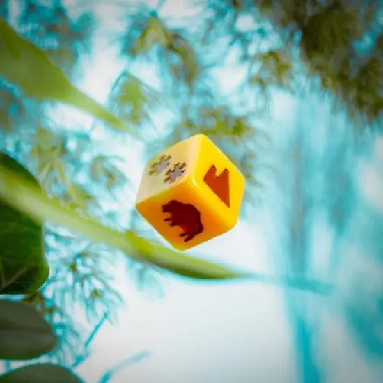 Keymaster Games Parks 2nd Edition Board Game: Includes Cards, Game Board, Tokens, Wooden Pieces for 2-5 Players image {5}