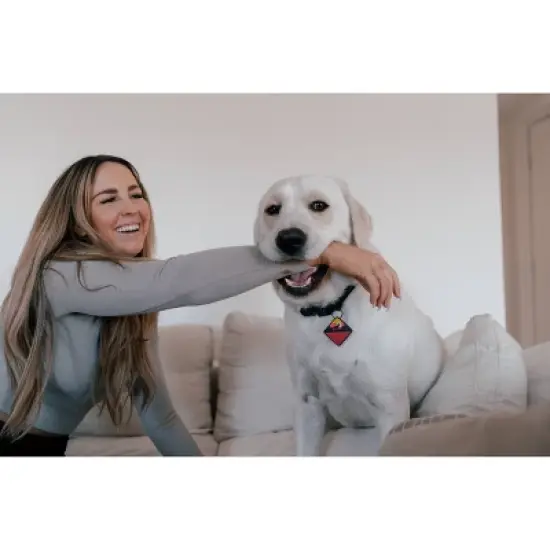 QALO TraQ Powered By Tile Dog and Cat Silicone Bluetooth Trackable Pet ID Tag - Pink image {1}