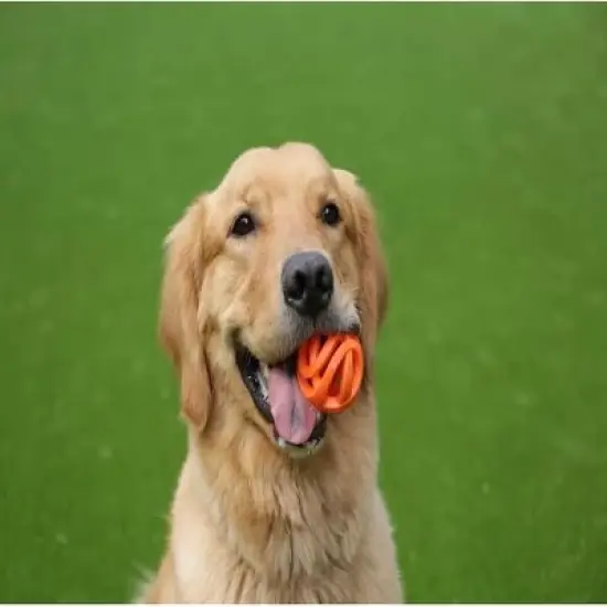 Chuckit Breathe Right Fetch Ball- Medium image {2}