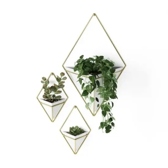 Trigg Wall Display Planter White/Brass - Umbra image {3}