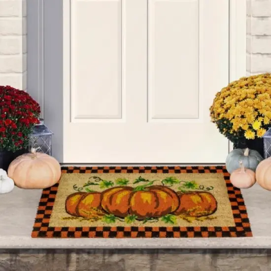 Northlight Checkered Fall Harvest Pumpkin Doormat 18" x 30" image {1}