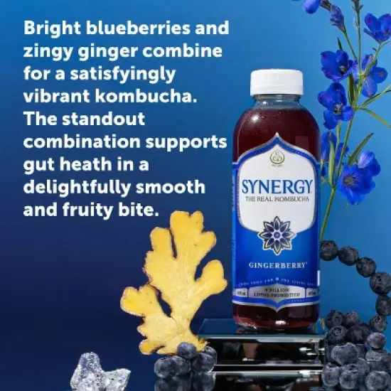 Synergy The Real Kombucha, Gingerade &ndash; 16 fl oz image {11}